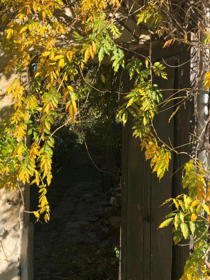 Dans Un Cadre Exceptionnel, Ferme Renovee A 17Km De Paris Villa Boissy-Saint-Léger Exterior photo